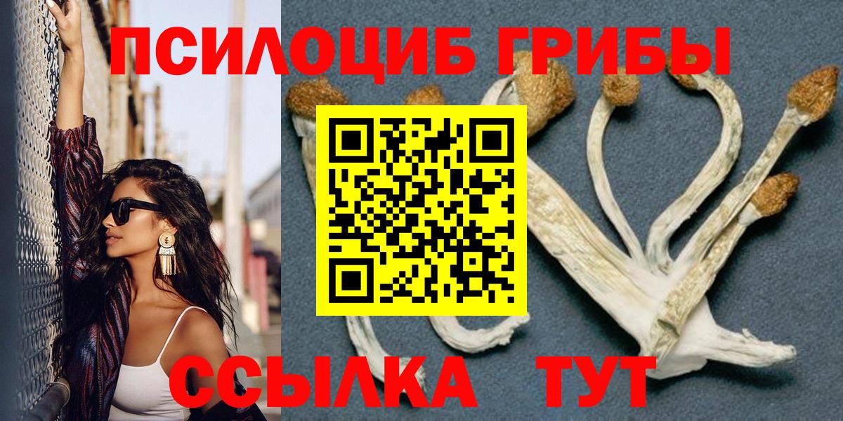 Дзержинский  даркнет сайт  Вход с VPN  Галлюциногенные грибы мухоморы 